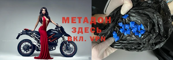 стаф Аркадак