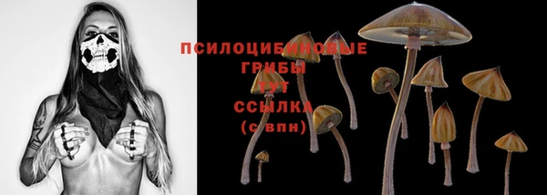 стаф Аркадак