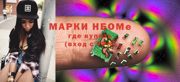 стаф Аркадак