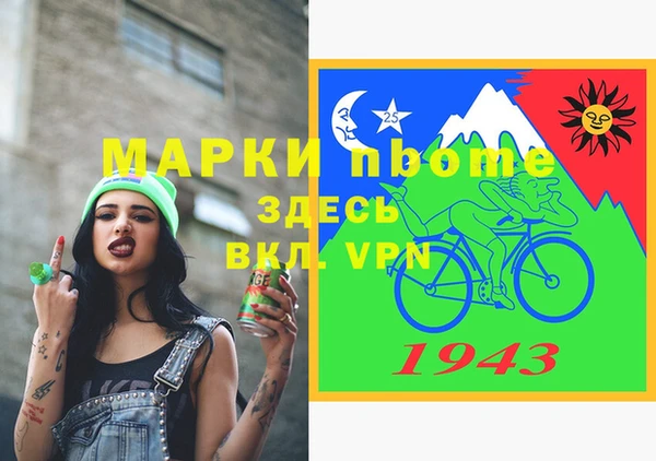 стаф Аркадак